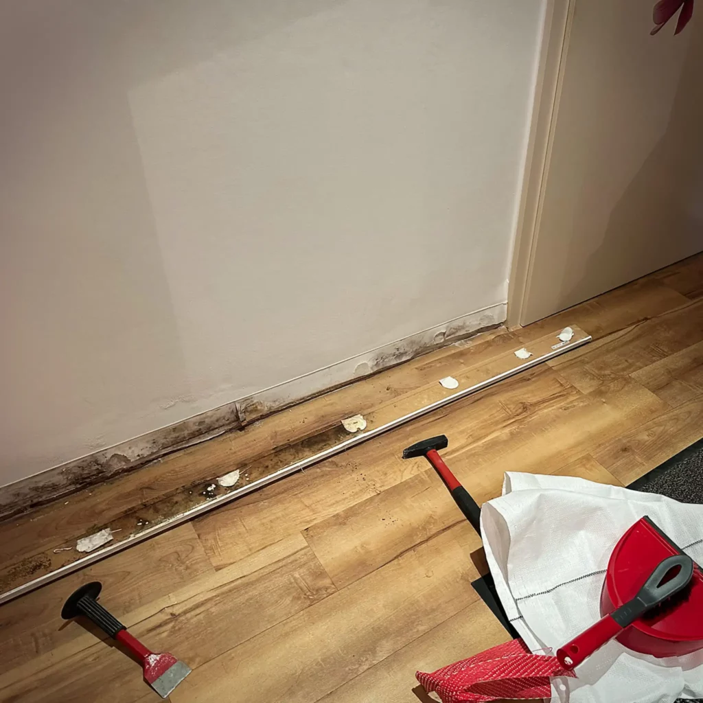 Schimmelbildung und beschädigte Fußleiste nach Wasserschaden in einem Haus in Kappeln